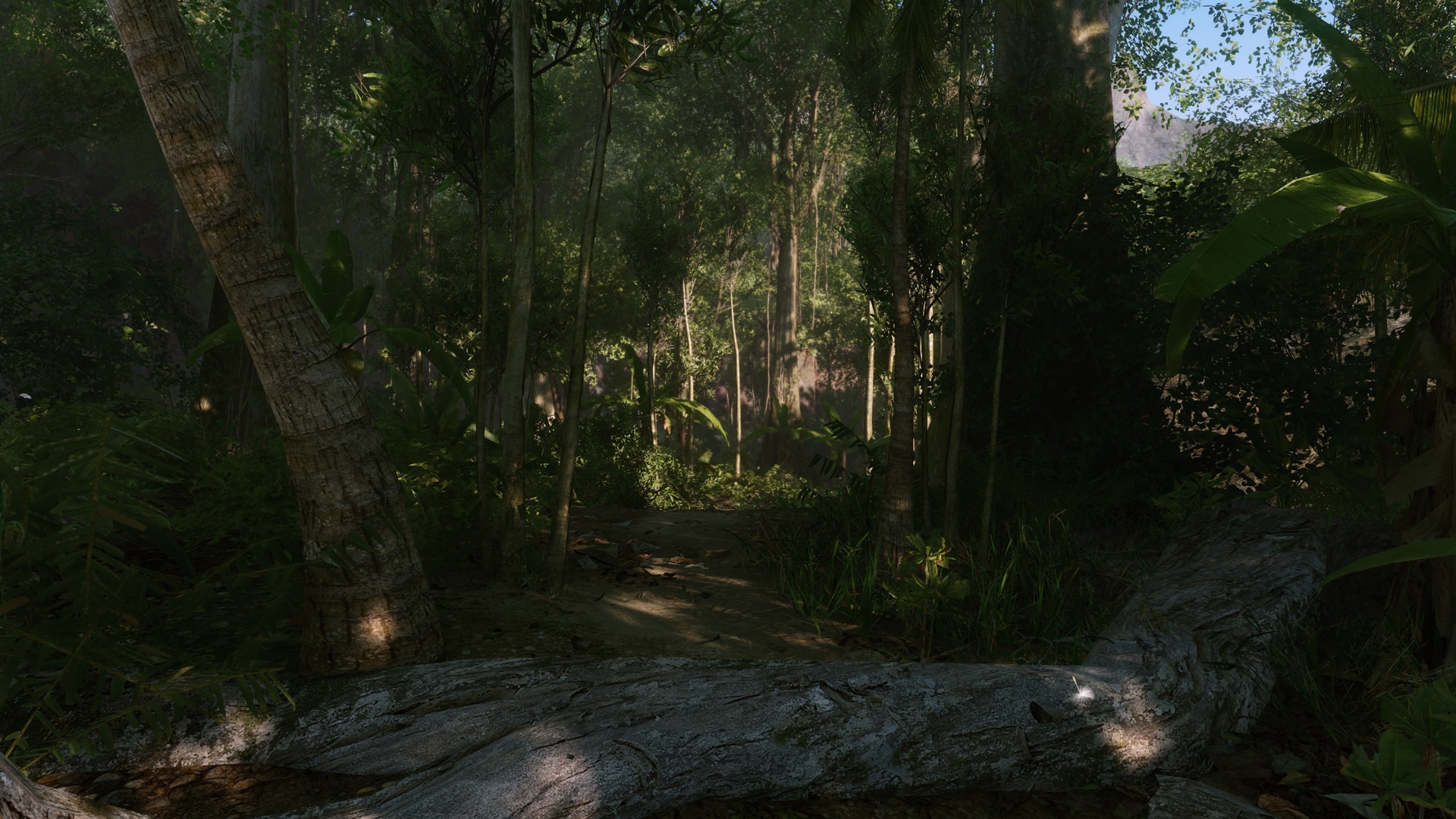 Crysis Remastered Trilogy 43